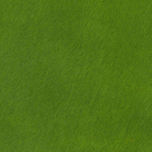 emerald green cavallino hair on hyde