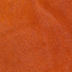 kumquat cavallino hair on hyde