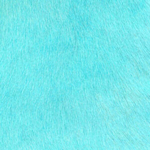 turquoise cavallino hair on hyde